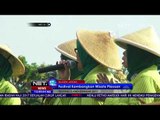 Festival Candi Kembar di Klaten Jawa Tengah - NET12