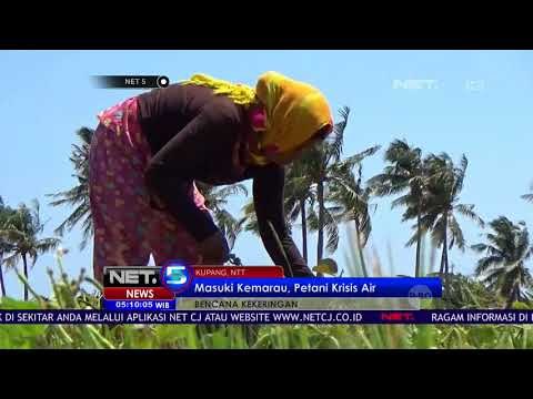 Memasuki Musim Kemarau, Krisis Air Bersih Mulai Terjadi - NET5