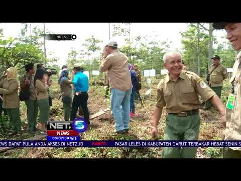 Mencegah Kebakaran Hutan Dan Lahan Dengan Pulihkan Lahan Gambut - NET5