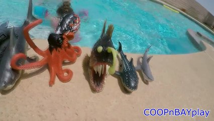 POOL DAY: Playing with Shark toys and other Ocean Creatures!