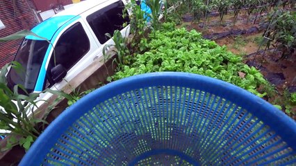 도대체 얼마나 맛있길래..? Really delicious pork dish