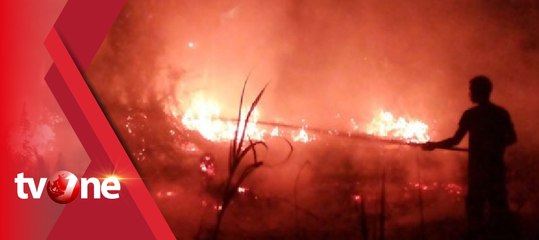 Puluhan Hektar Lahan di Hutan Wisata B29 di Lumajang Terbakar
