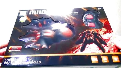 GIANT SPIDER VIDEOS FOR KIDS I Spidertoys I Spider attack Toy Tarantula Unboxing