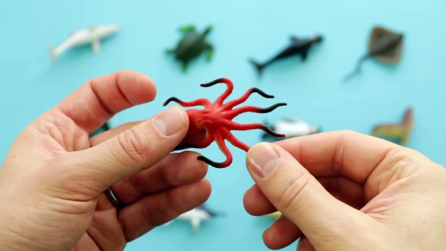 Aprender nombres de animales y sonidos para Niños 2016 PARTE 1: El Océano