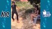 whatsapp comedy video CLIPS - FUNNY clips - whatsapp FUNNY VIDEO 2017 - WHATSAPP VIDEOS COMEDY