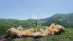 كوريا الشمالية تتحدى العالم وتطلق صاروخا باليستيا ثانيا فوق اليابان