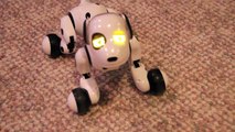 Zoomer The Interive Robotic Pet. Hands-On Review of The Zoomer Dog From Spin Master