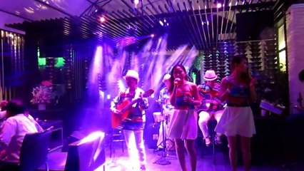 TO LOVE YOU MORE- SAFE AND SOUND- LEMON TREE Ban nhạc Flamenco Tumbadora tại GOSANKE CAFE Bạc Liêu