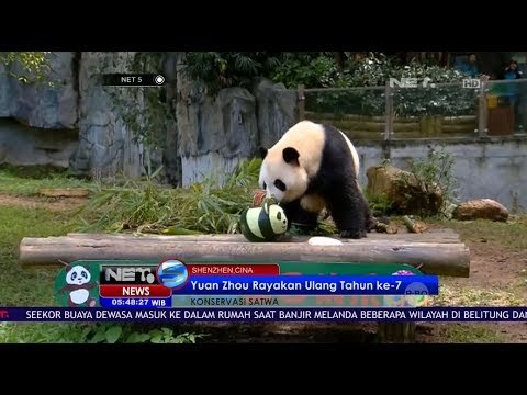 Yuan Zhou Rayakan Ulang Tahun Ke 7 - NET5