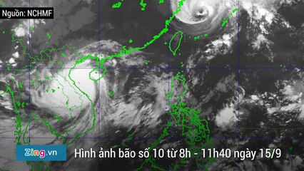 Hàng trăm nhà tốc mái, cây gãy, cổng chào đổ vì bão số 10 - Thời sự - Zing.vn_2