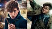 FANTASTIC BEASTS Connections to Harry Potter + Sequel Clues