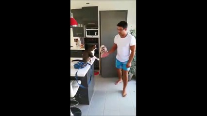 Quand ton chat te fait un check... La grande classe