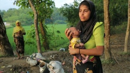 Un comité birmano apoya el "imperio de la ley" para resolver el conflicto rohinyá