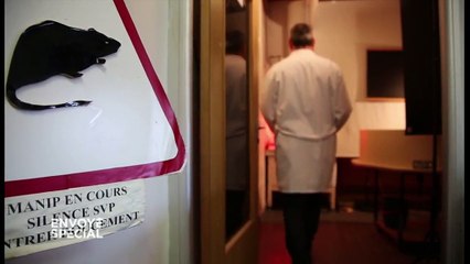 Lorsqu'il remonte à la mémoire, un souvenir est fragile