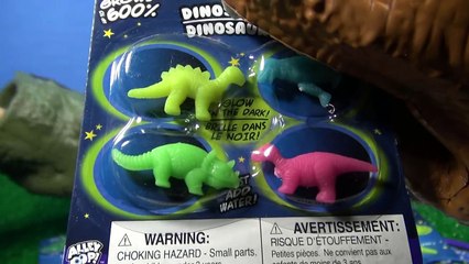 Glow In The Dark Dinosaurs - Grows Up To 600%!