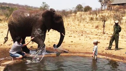 Une femme s'amuse à arroser un éléphant