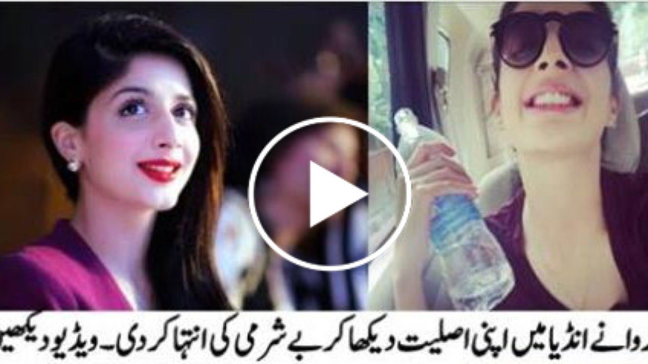 Lion Gives Hug Through Cage - YouTube_2