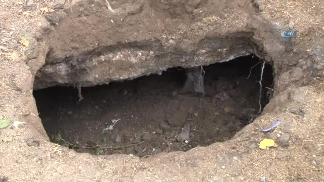 Foseptik Çukuru, Bebeği Annnesiz, İneği Yavrusuz Bıraktı