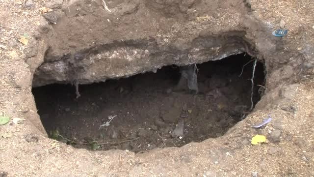 Foseptik Çukuru, Bebeği Annnesiz, İneği Yavrusuz Bıraktı