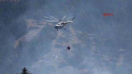 Kütahya Bilecik ve Kütahya'daki Orman Yangınları Kontrol Altında