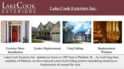 Replacement Windows Palatine