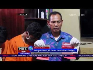 WNA Italia Konsumsi Tembakau Gorila - NET24