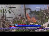 Satu Orang Terduga Pelaku Pembakaran Hutan Ditangkap Petugas - NET5