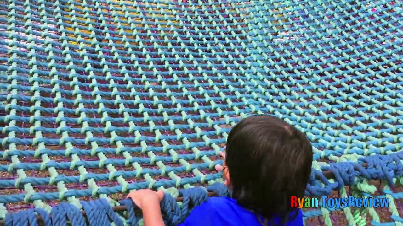 SEAWORLD FAMILY FUN TRIP Shamu Show One World Water Park Kids Video Ryan ToysReview