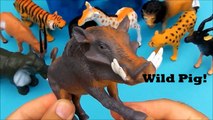 Wild Animals Box Toys. Safari Toy. Zoo Animals. Tiger, Lion, Cheetah, Elephant