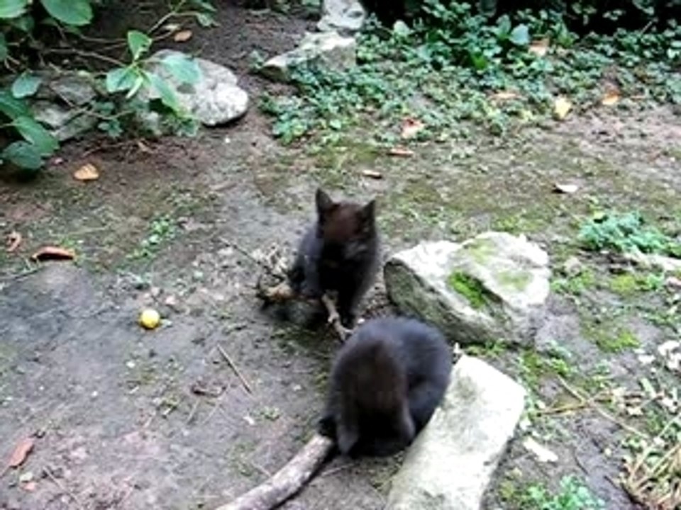 Lalah et son frère