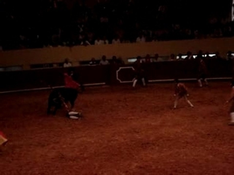 dowling corrida