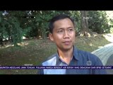 WNA yang Menerobos Pintu Kebun Raya Akan Diperiksa Polisi & Petugas Imigrasi - NET5