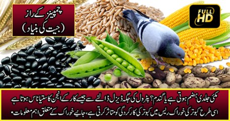 Fuel (خوراک کے متعلق اہم معلومات)