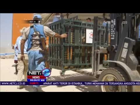 Sejumlah Satwa Dievakuasi dari Bonbin yang Rusak - NET24