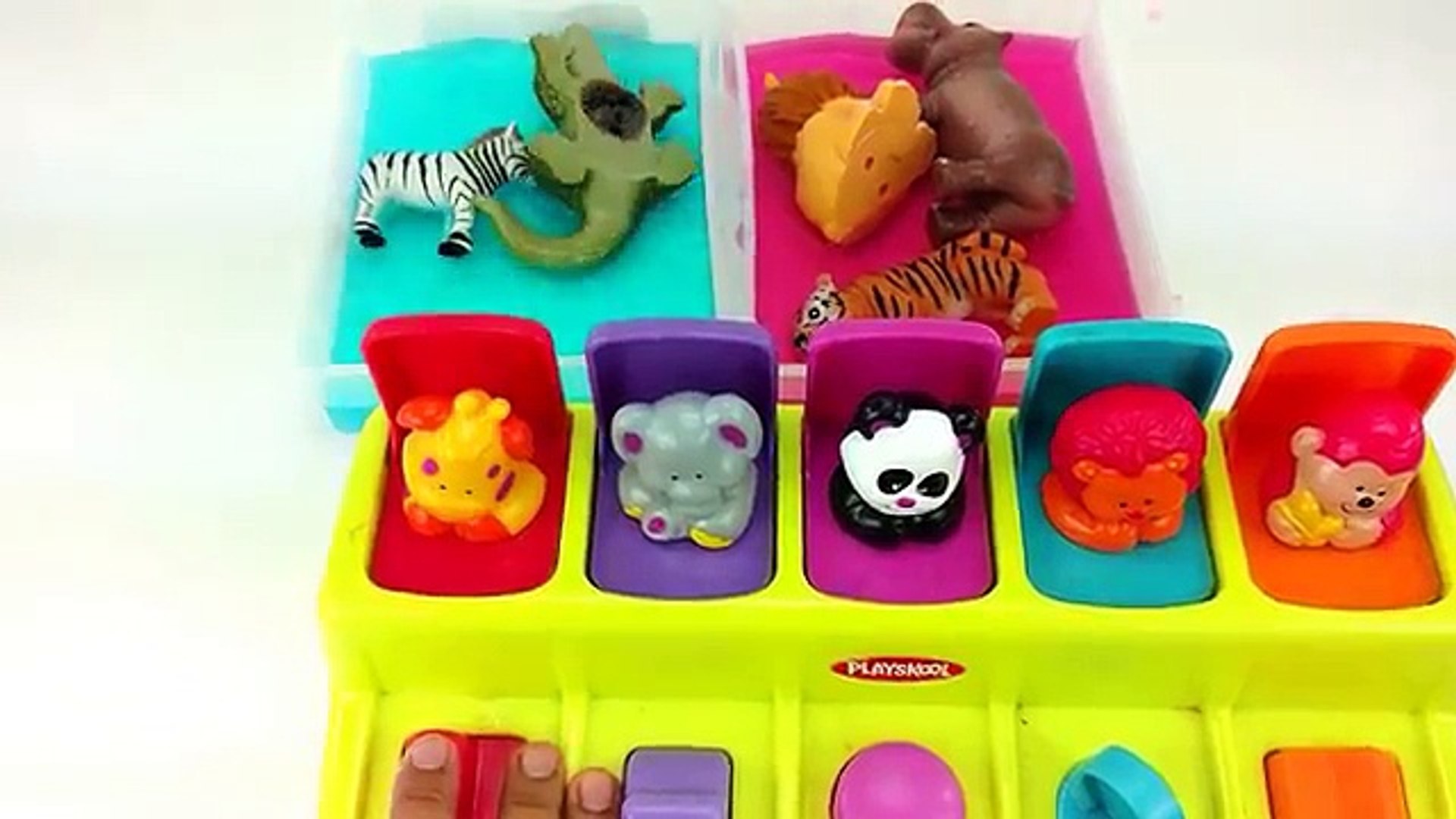 ⁣Wrong Heads Of Zoo Wild Safari Animals/Fun Switching Of Animal Heads/Popping Up of Zoo and Farm Anim