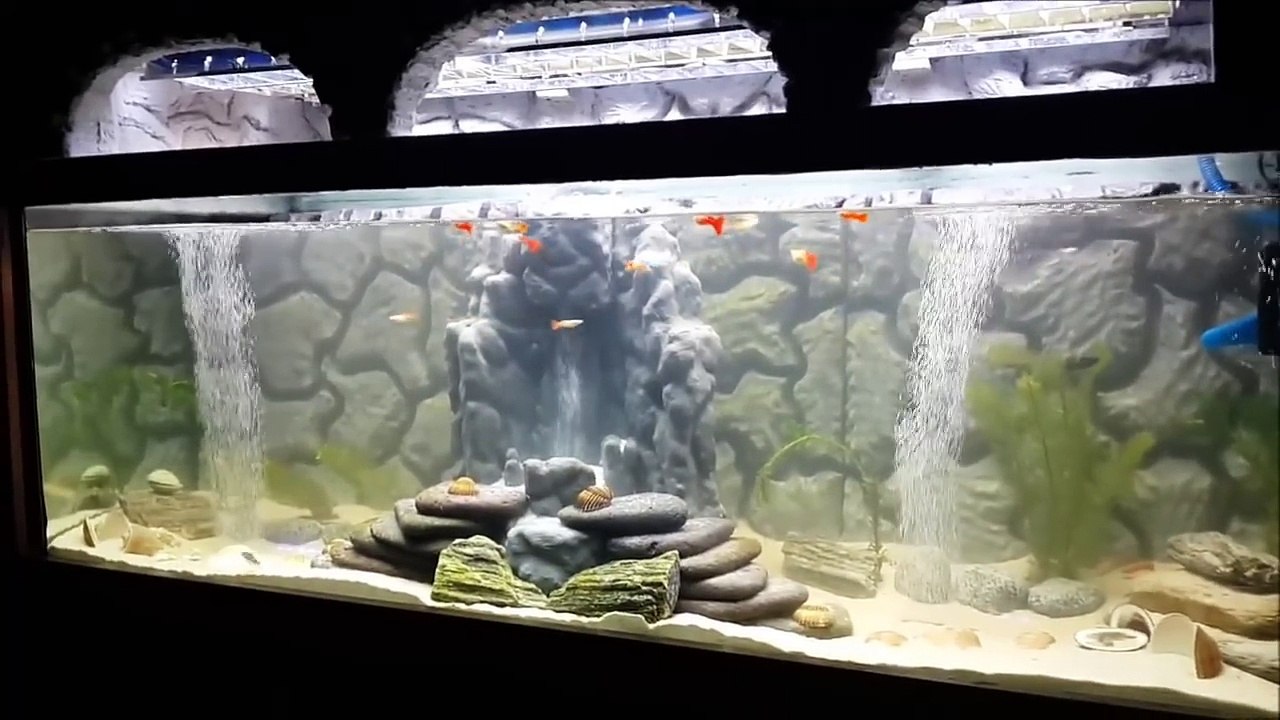 Akvaryum içinde şelale (ilginç akvaryum)