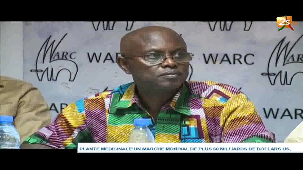 PLANTE MÉDICINALE : UN MARCHÉ MONDIAL DE PLUS 60 MILLIARDS DE DOLLARS US