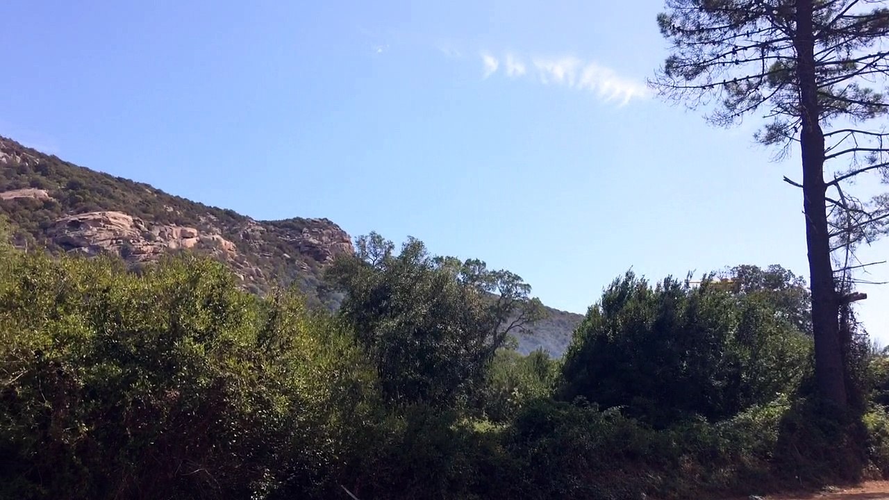 Incendie sur la route de Bonifacio