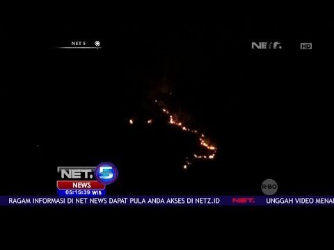 Api Kembali Hanguskan Hutan Jati - NET5