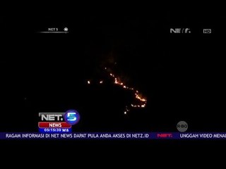 Api Kembali Hanguskan Hutan Jati - NET5