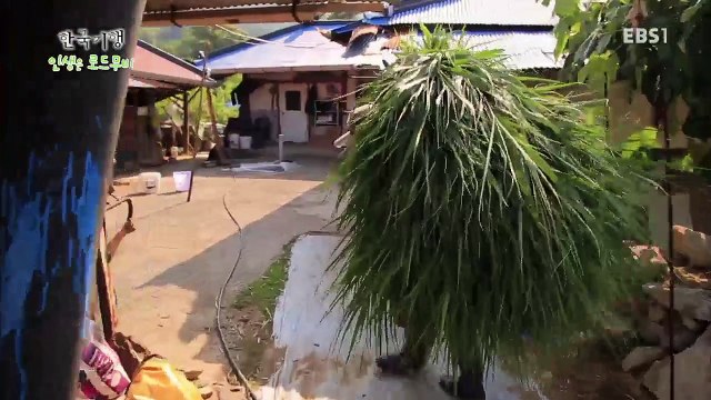 한국기행 - Korea travel_인생은 로드무비 1부 정처없는 이 발길_#001