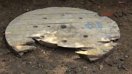 Adana 1 Günlük Buzağıyı Kurtarmak İsterken Öldü