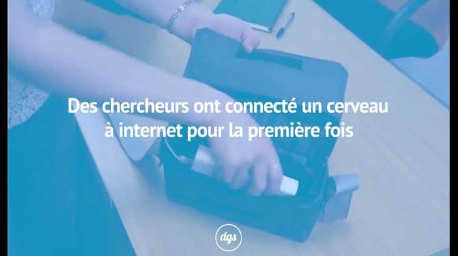 Des chercheurs ont connecté un cerveau à internet pour la première fois