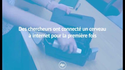 Des chercheurs ont connecté un cerveau à internet pour la première fois