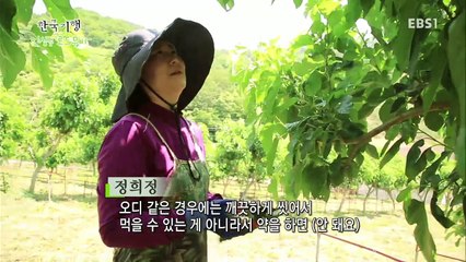 한국기행 - Korea travel_인생은 로드무비 5부 그렇게 농부가 된다_#002