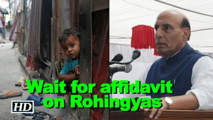 Wait for affidavit for government's stand on Rohingyas: Rajnath