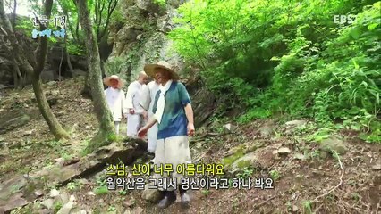 한국기행 - Korea travel_숨겨진 계곡 2부 오지의 여름이 맛있는 이유_#002