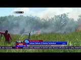 Lahan Seluas 3 Hektar Terbakar - NET24