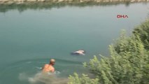Adana Sulama Kanalında Kadın Cesedi Bulundu