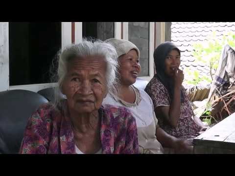 Warga Diserang Monyet Ekor Panjang - NET16